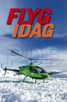 Flyg Idag 2019 (pdf)
